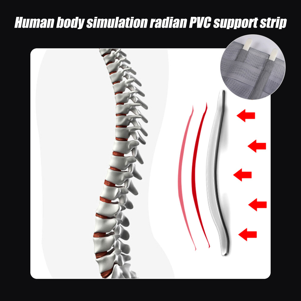 Men Boned Lumbar Lower Back Support Brace Posture Orthosis Pain Wrap Waist Belt