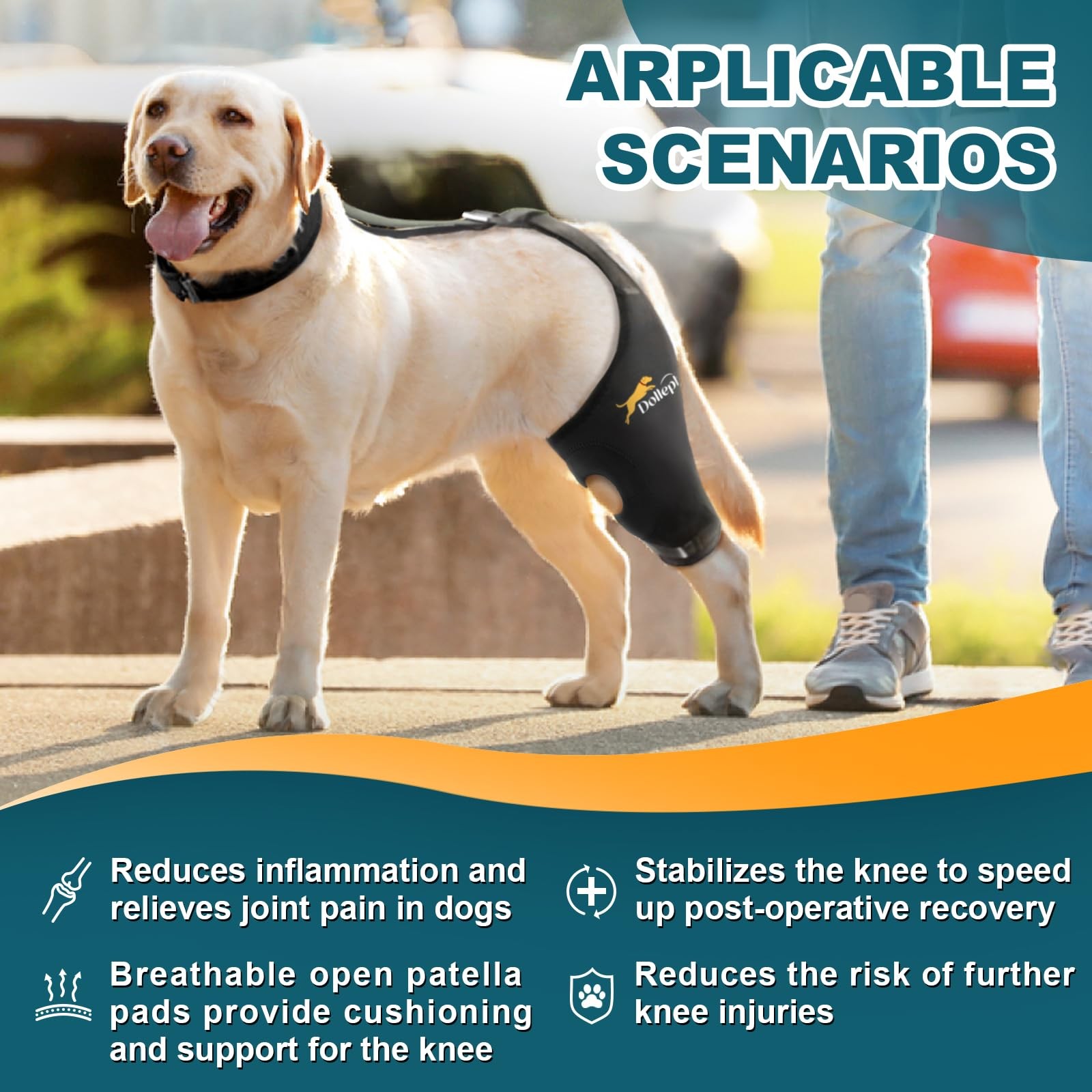 Dollephi Dog Knee Brace for Torn ACL Hind Leg, Patent Pending(Left Leg,S) | S…