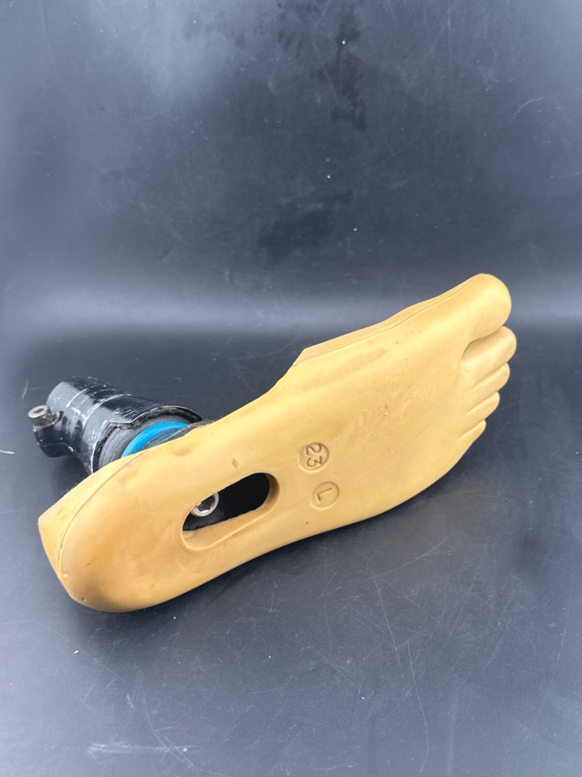 Blatchford endolite Multiflex mult flex prosthetic foot. Left. Size 23cm