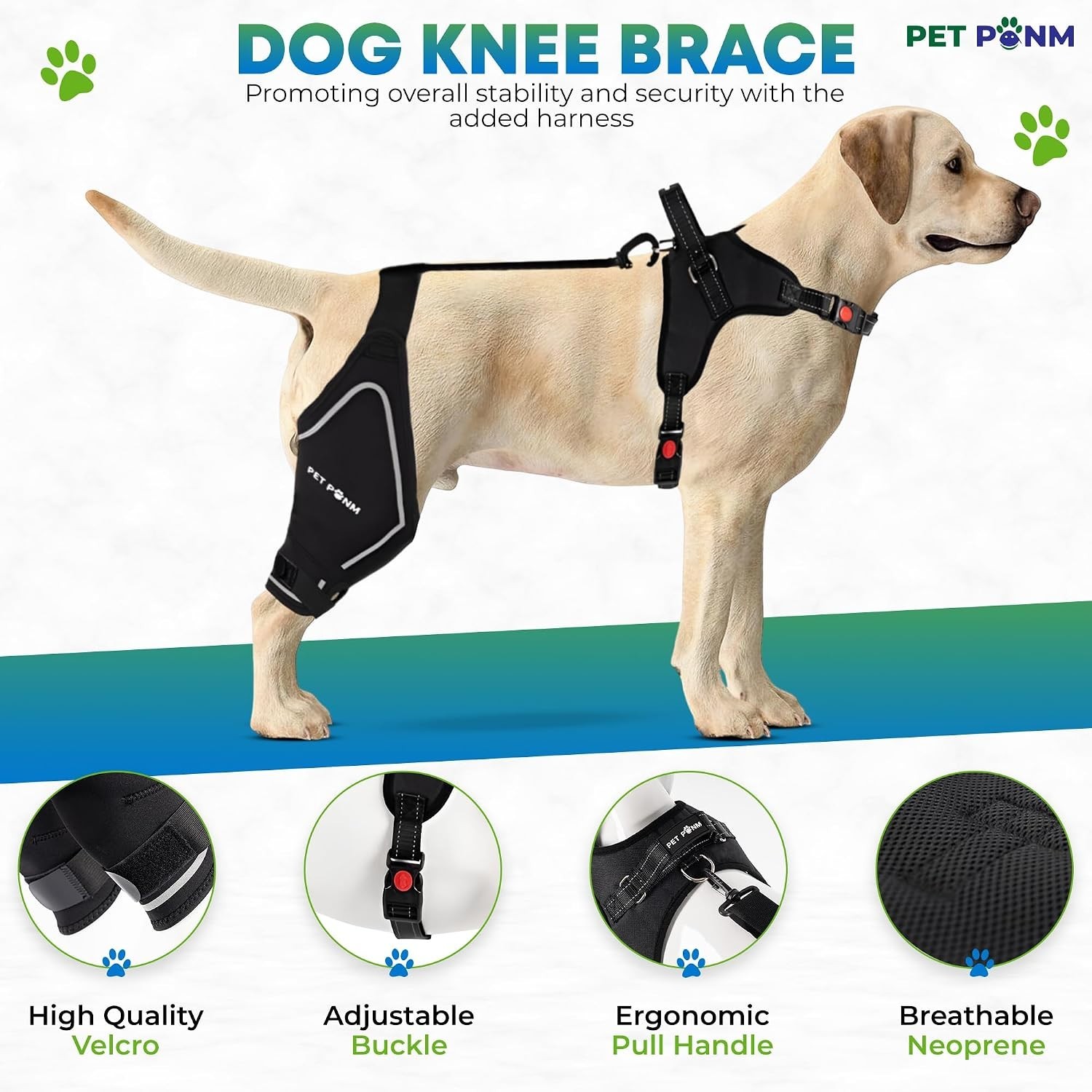Comfortable Neoprene Dog Knee Brace with Harness – Ideal for Mobility & Recovery