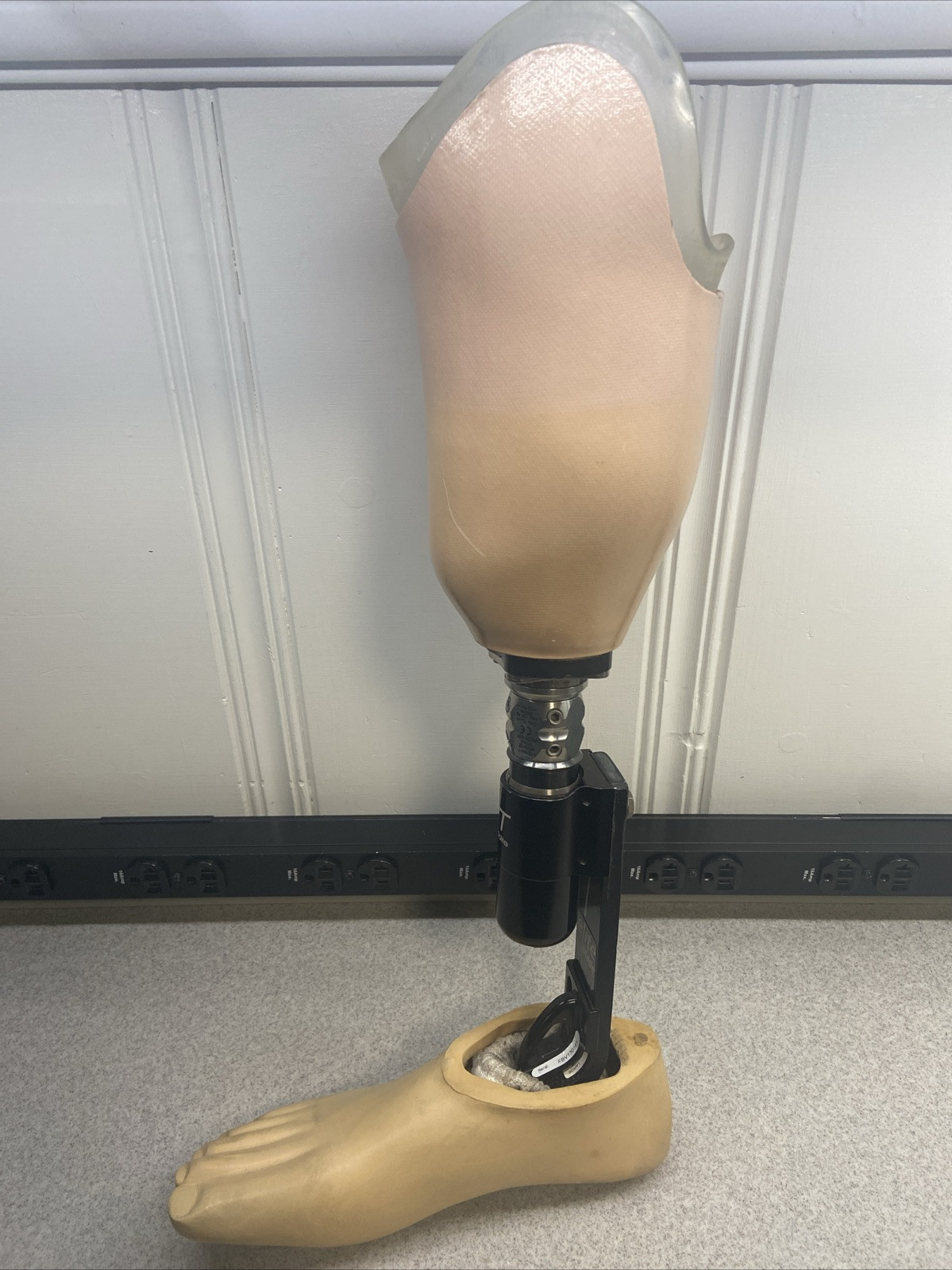 Endolite VT Vertical Shock With Elite Blade Prosthetic Foot Sz 28 Ft