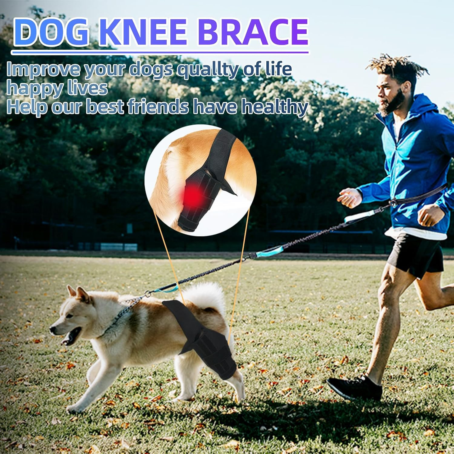 M Dog Knee Brace for Torn Acl Hind Leg for Support with Cruciate Ligament Injury