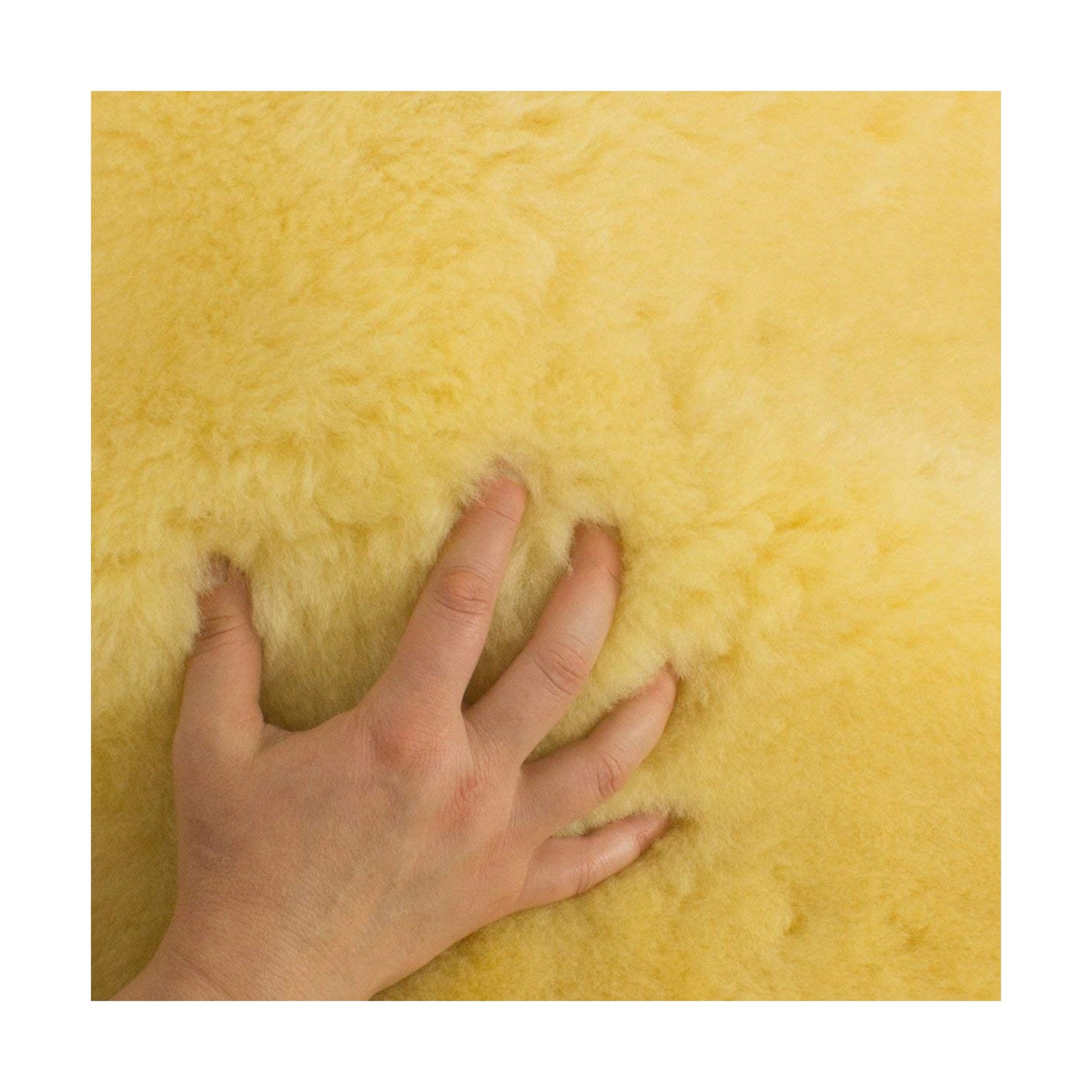 Sheepskin Large Medical Tanned + Shampoo Bundle
