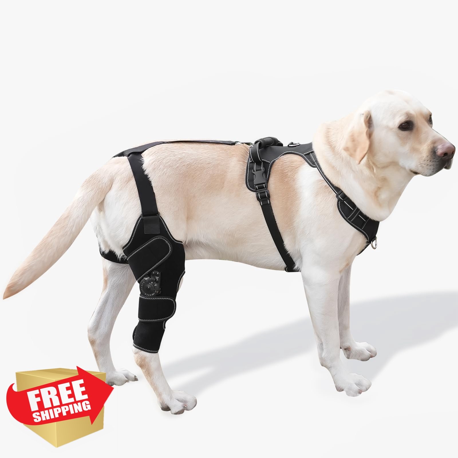 FurWell Dog Knee Brace ACL CCL Rear Leg M Right