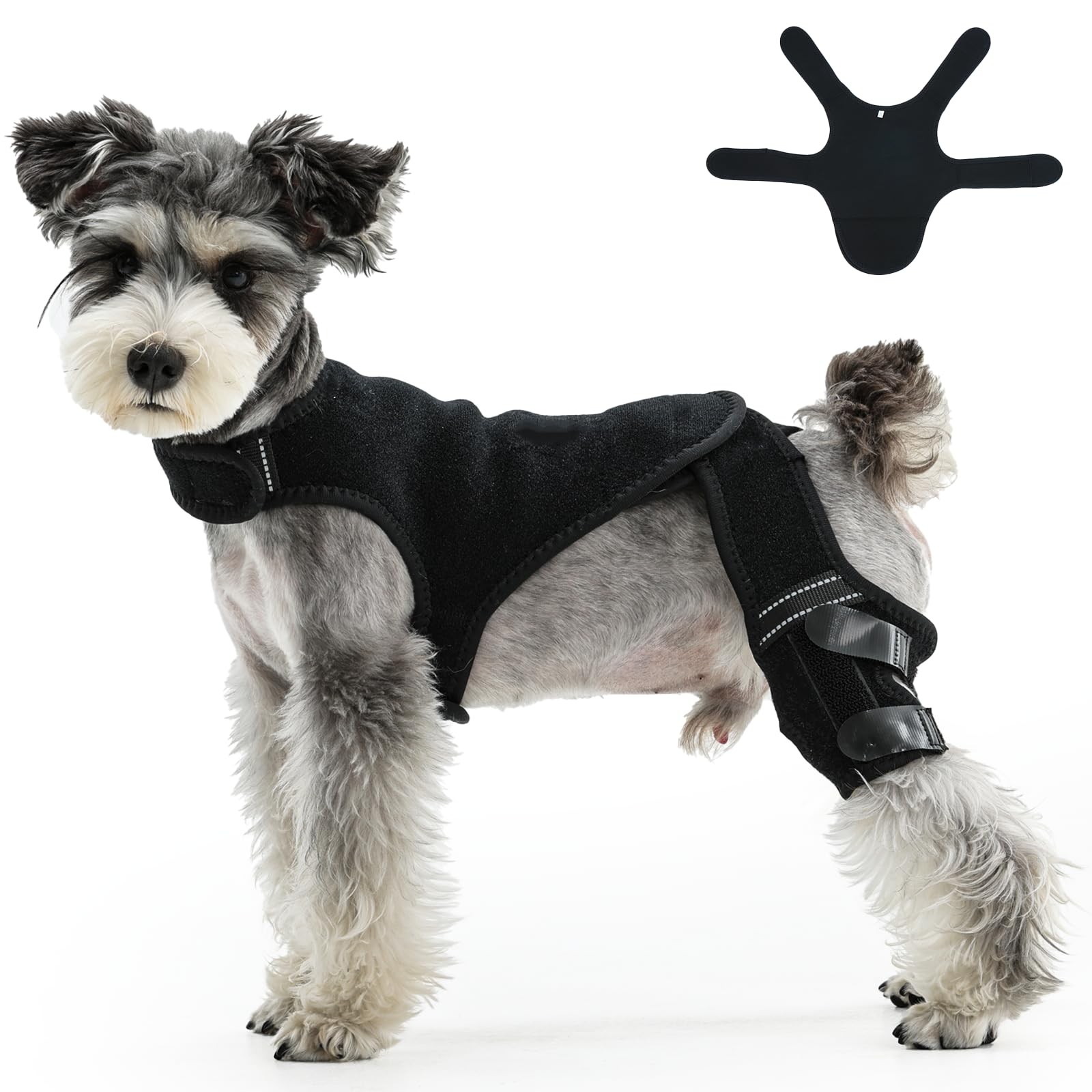 Allroaring Dog Knee Brace Black Small Leg Support