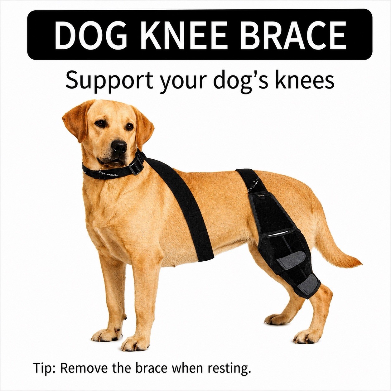 Dog Knee Brace Size M Rear Leg Support ACL CCL TPLO Recovery Wrap Adjustable