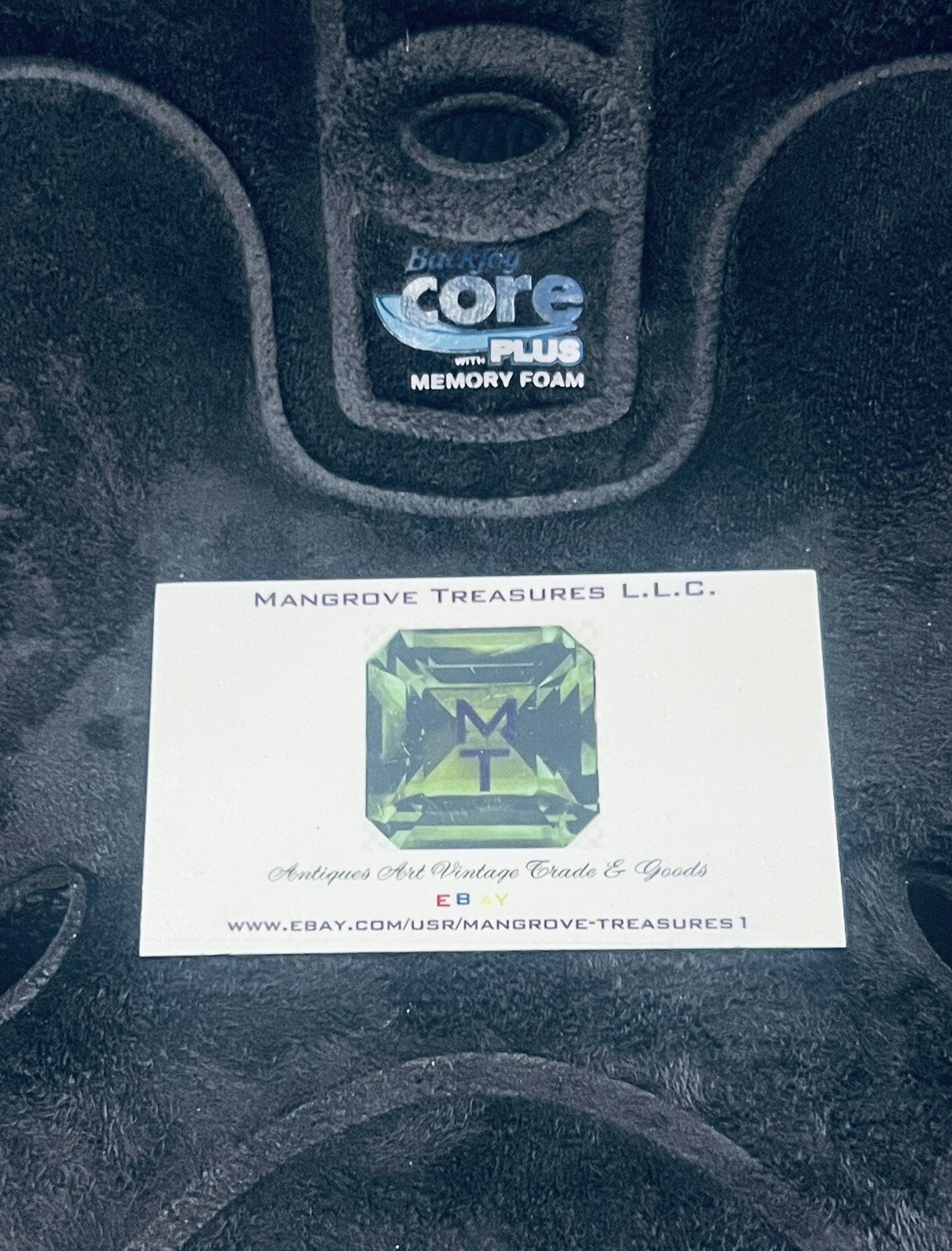 BackJoy Core Traction Plus Memory Form Posture Support Cushion