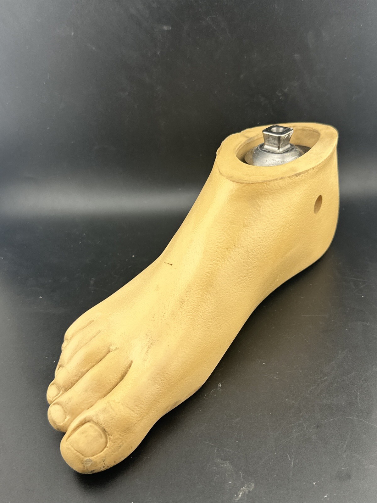 Ohio Willow Wood, Single Axis Prosthetic Foot. Right, Size 27.
