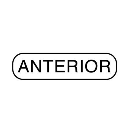NEVS X-0182 Information Labels – Anterior 5/16″ x 1-1/4″ White w/Black