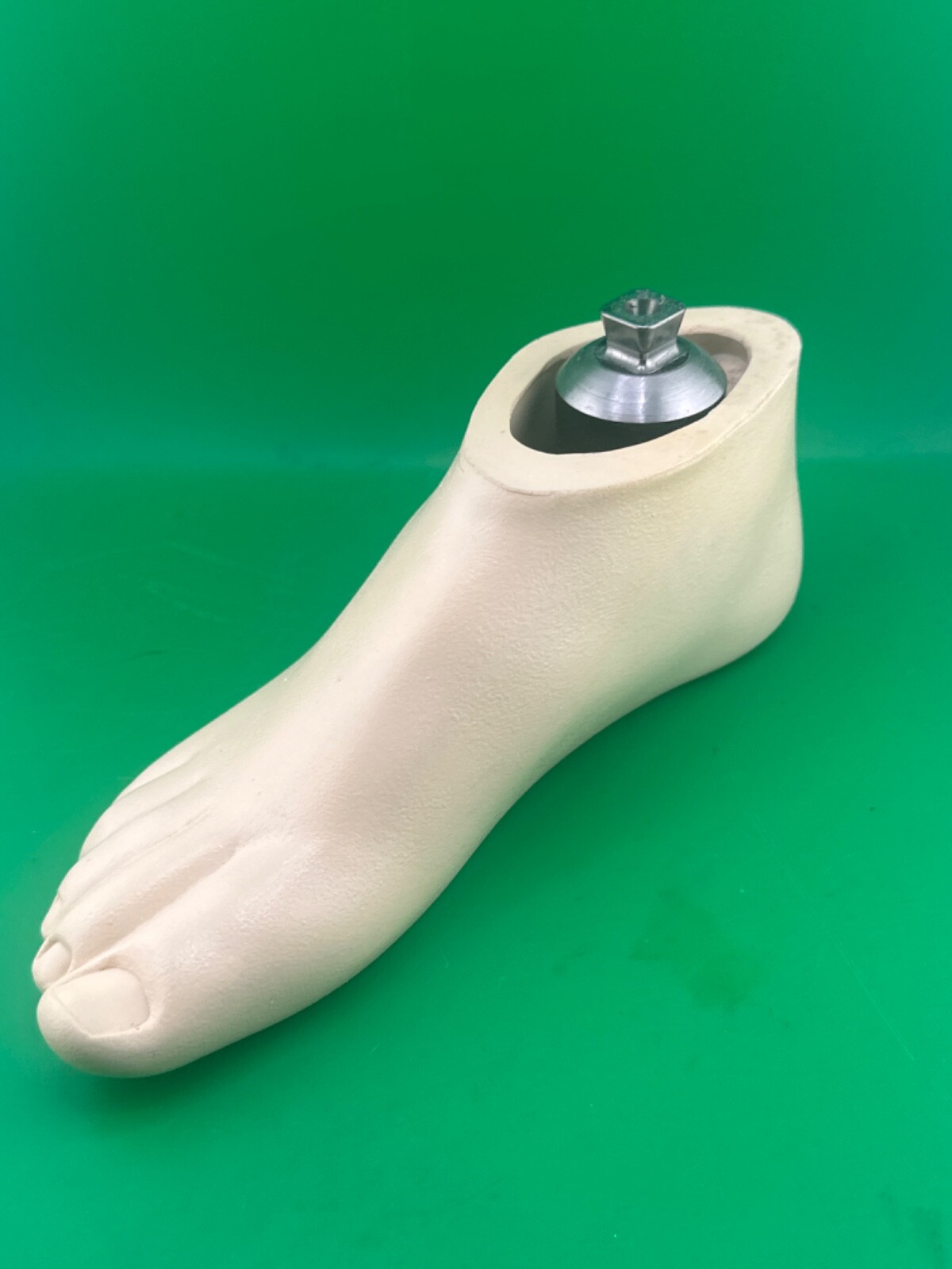 Right Ohio Willow Wood willowwood SACH Prosthetic foot size 25. Great cond