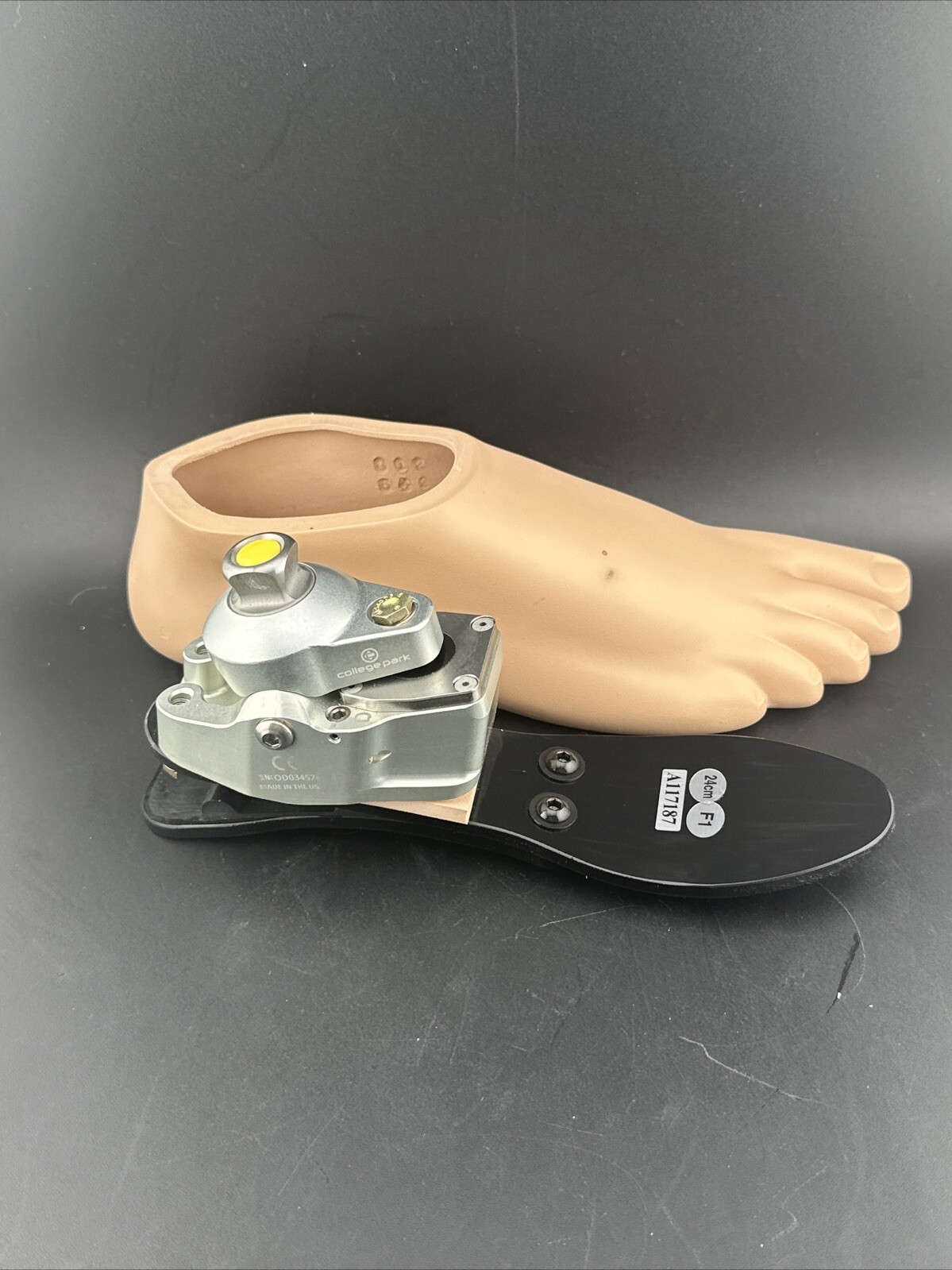 College Park K2 Odyssey Hydraulic Ankle Prosthetic Foot, Right Shell, Size 24
