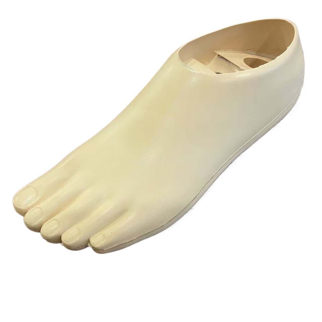 Double Axis Foot artificial Foot Beige Brown size 21cm-30cm Foot prosthesis