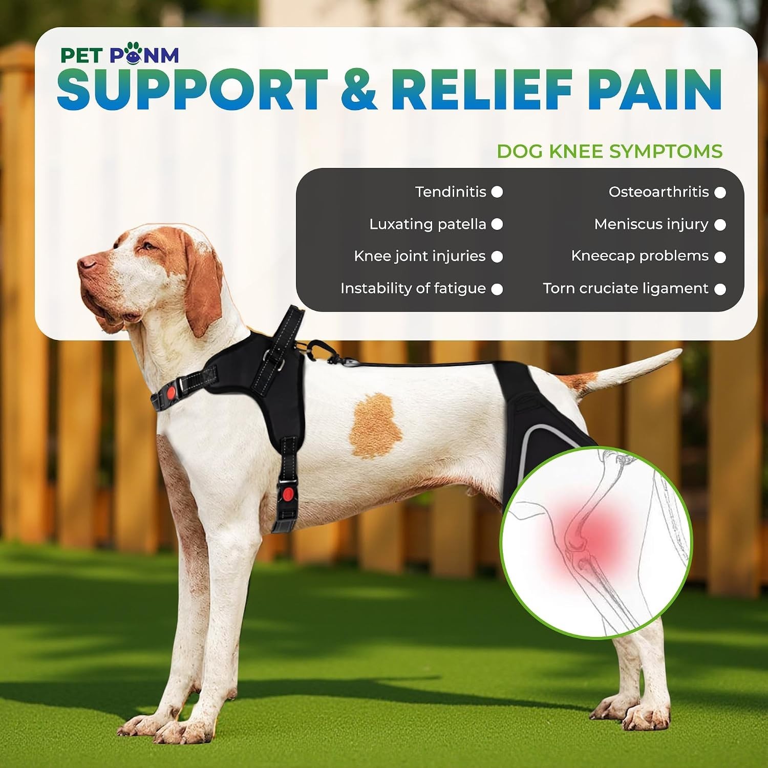 Comfortable Neoprene Dog Knee Brace with Harness – Ideal for Mobility & Recovery