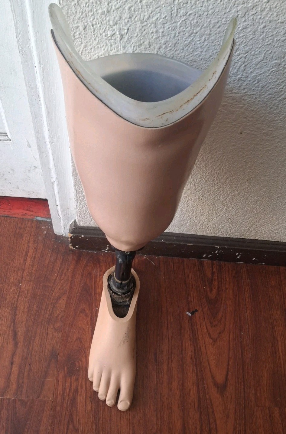 Trulife Transtibial Prosthetic Leg Assembly – CPI 29 Foot & Socket Components
