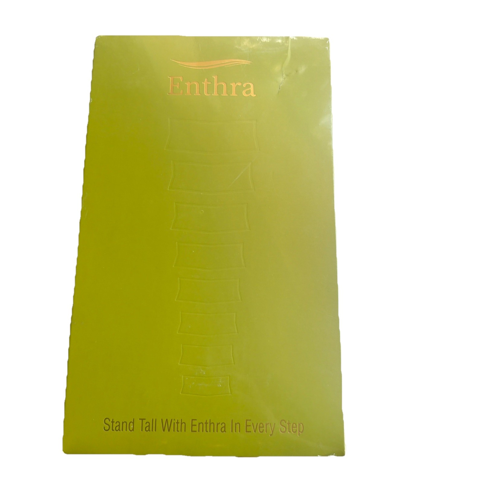 Enthra Back Brace Posture Corrector Lower Back Pain BB02 Medium For Men & Women