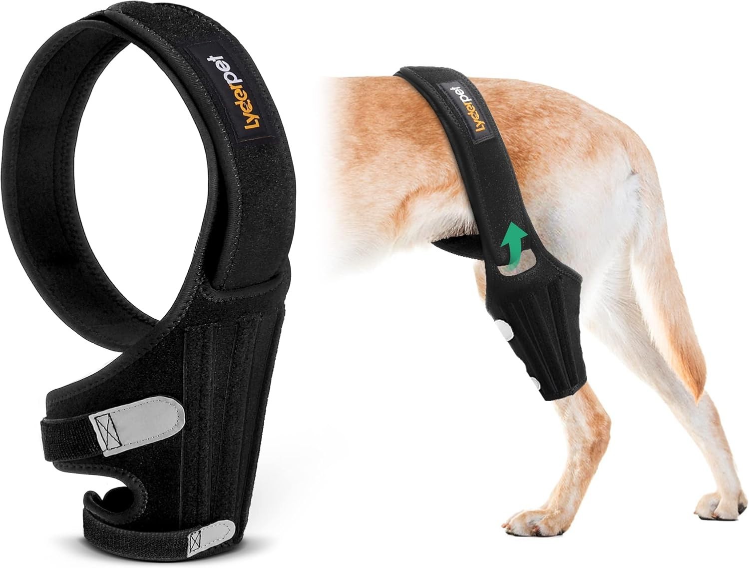 DOG KNEE BRACE – TORN ACL – HIND, REAR LEG – METAL SPRING SUPPORT – SHIPS FREE