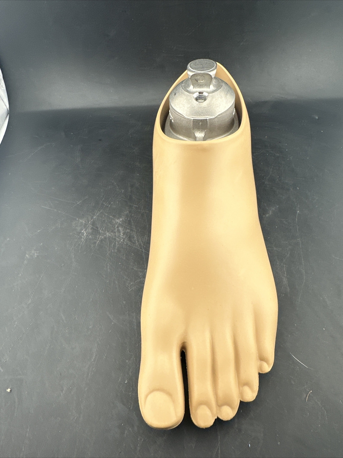 OTTOBOCK Otto Bock Greissinger Prosthetic Foot. Left Size 24 1A30 Perfect
