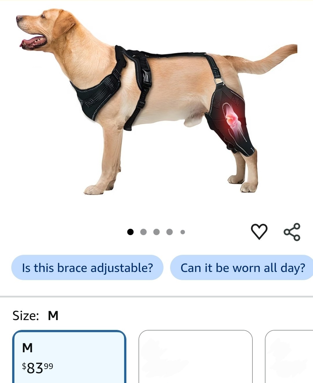 Adjustable Dog Knee Brace for Both Hind Legs – Acl/Ccl Support & Luxating Patell