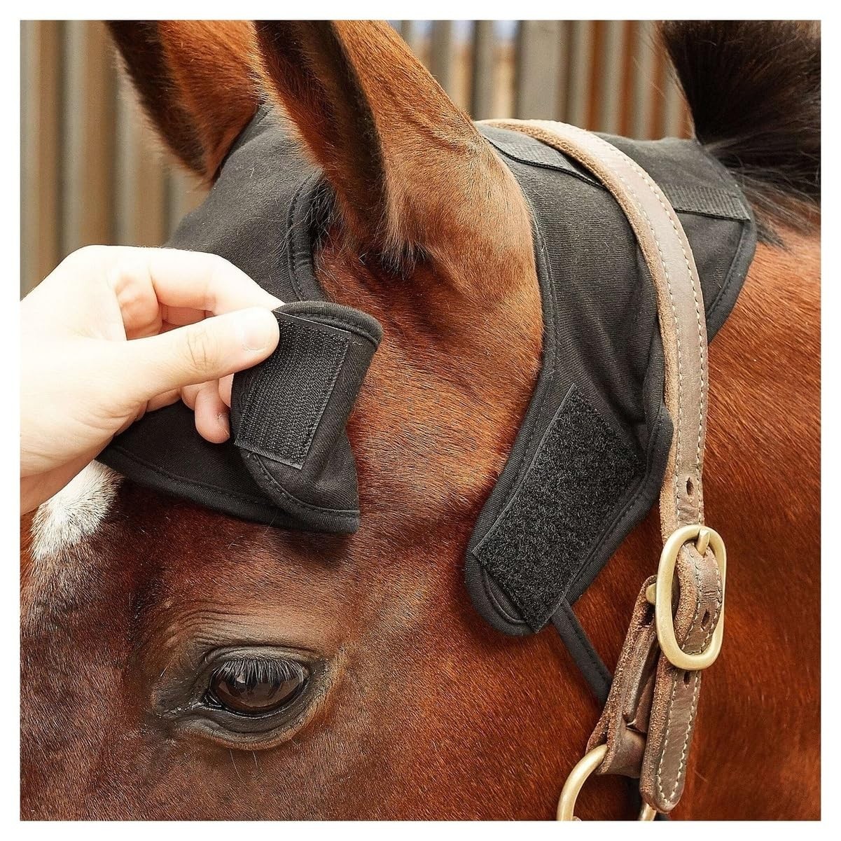 Back on Track Neck Protector Black