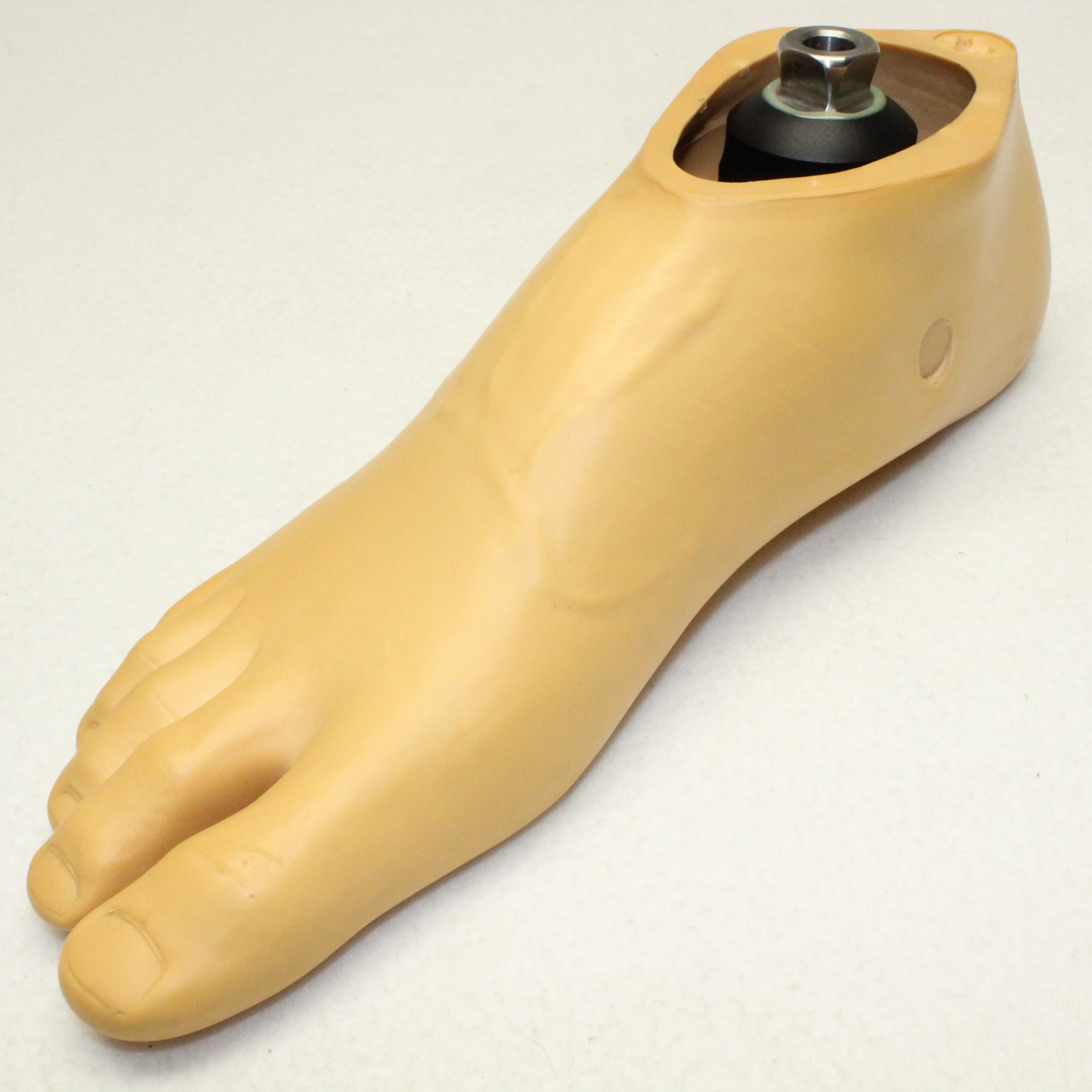 TRULIFE Kinetic A Edge Prosthetic RIGHT Split Toe Foot Pyramidal Adapter ~ Sz 28