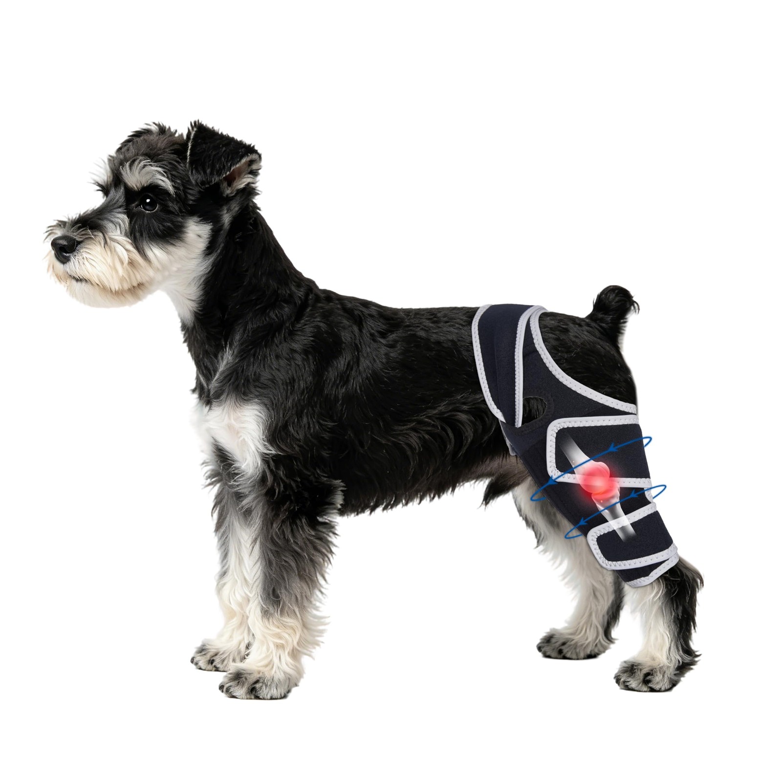 Moysoon Dog Knee Brace Left Hind Leg XS