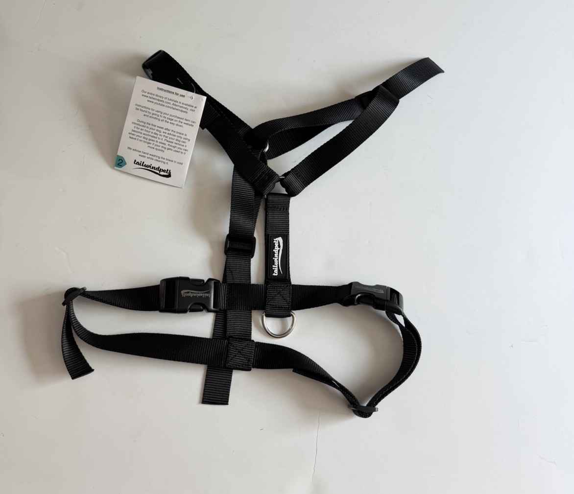 Tailwinds Double Knee Brace for Dogs — Size Medium