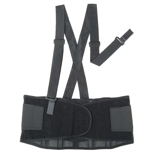 Condor Back Support w/Stay,Black,Polyester,M 6T563 Condor 6T563 M 190735108147