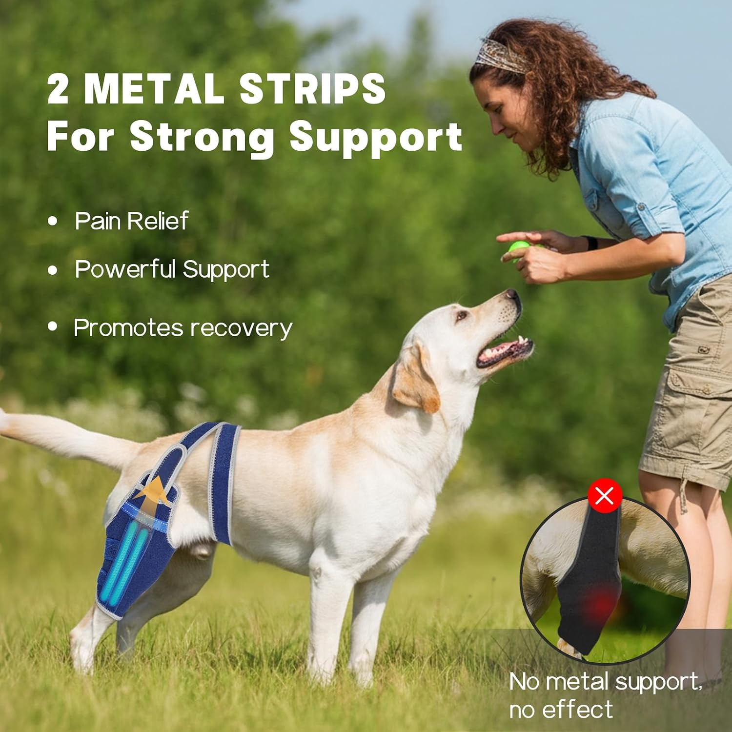 Dog Knee Brace for Torn ACL Hind Leg – Support Dog Leg Brace for Back Leg with 2
