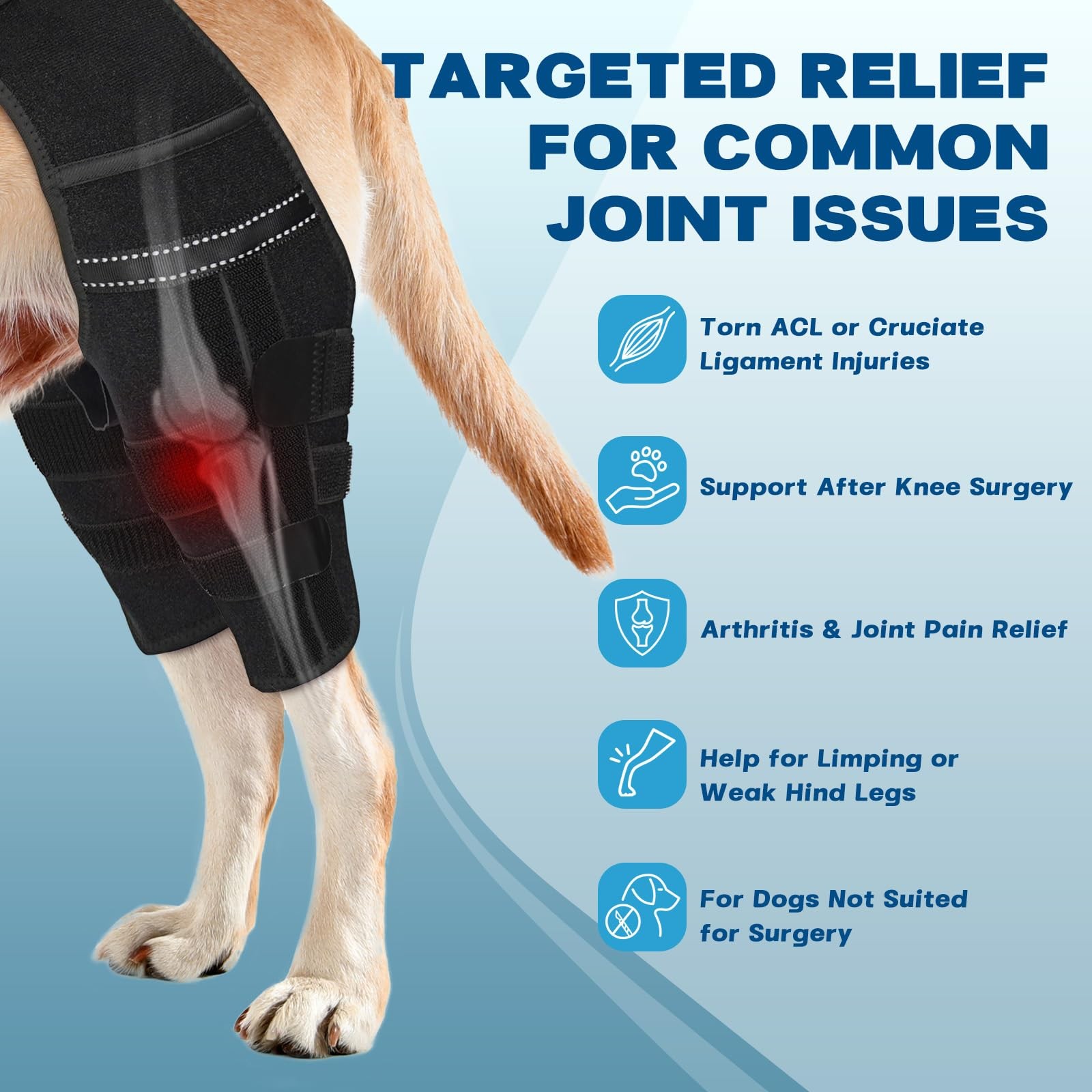 Pawfun Dog Knee Brace Hind Leg Support S