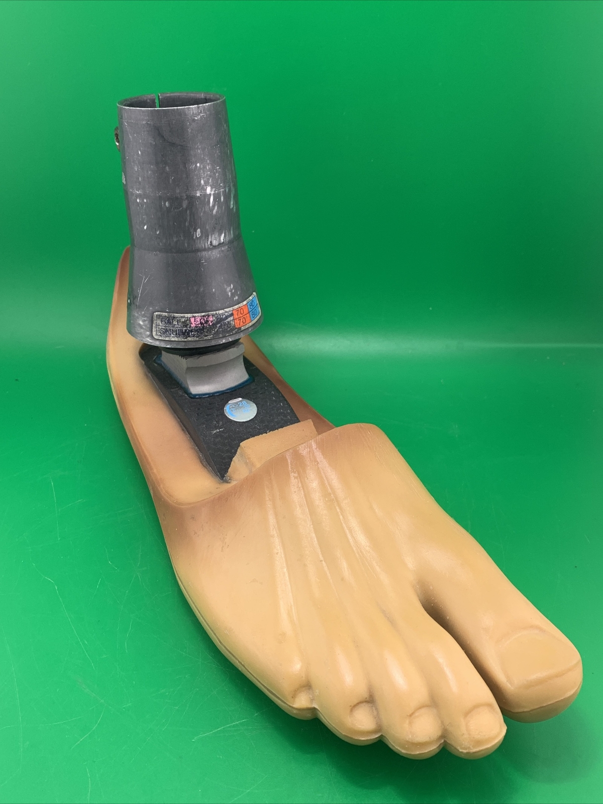 endolite blatchford multiflex prosthetic foot and Ankle. Right Foot, size 27