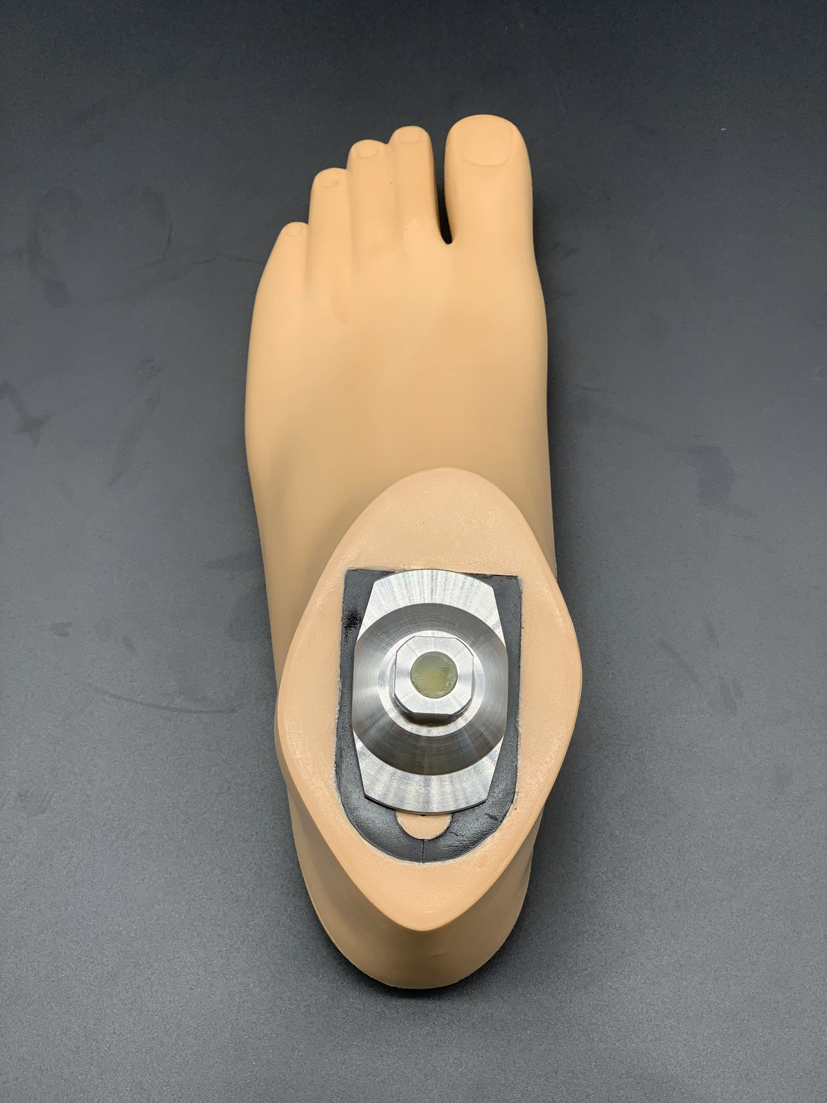 Waterproof SACH Prosthetic Foot w/ Carbon Fiber Keel 22-28cm L/R
