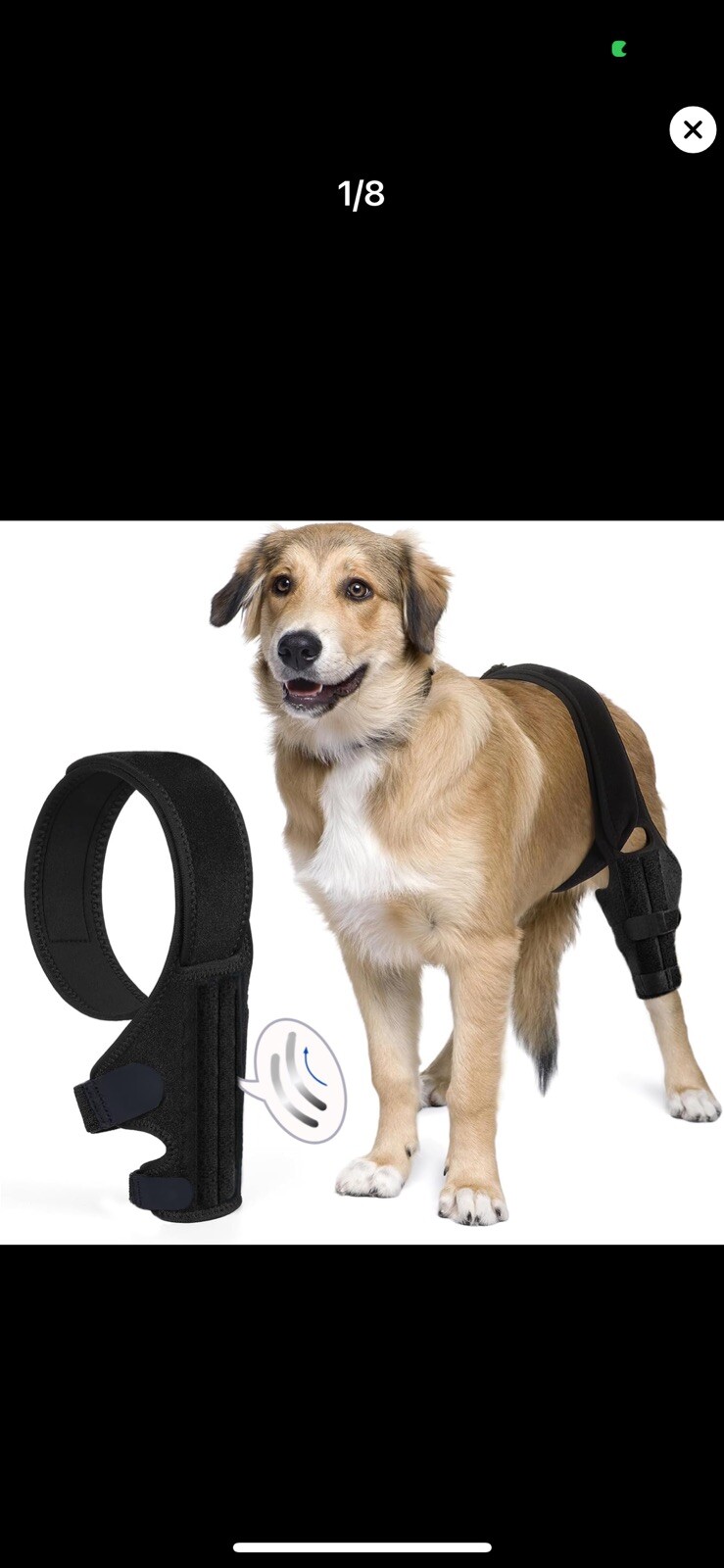 M Dog Knee Brace For Torn ACL Hind Leg For Support With Cruciate Ligament Injury