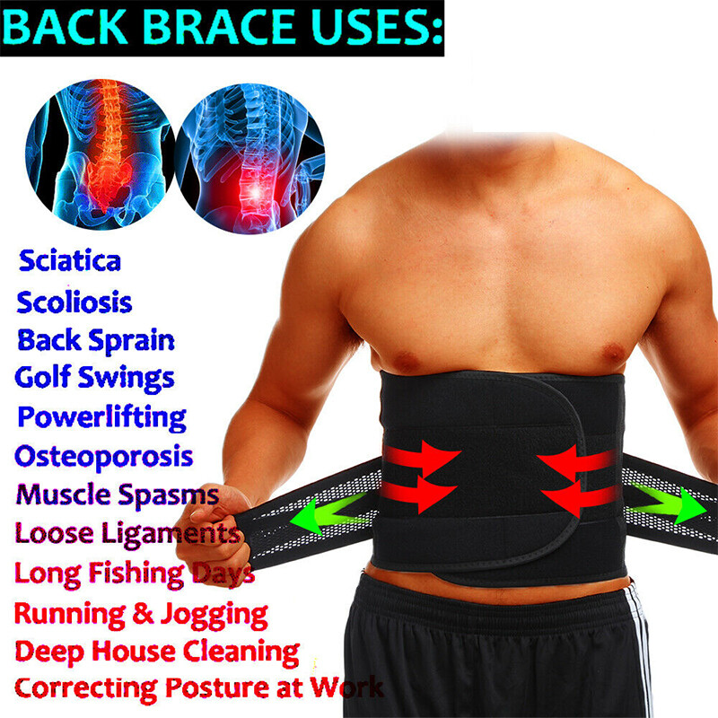 Back Support Lower Back Brace Pain Relief Lumbar Support Belt Sciatica Men/Women