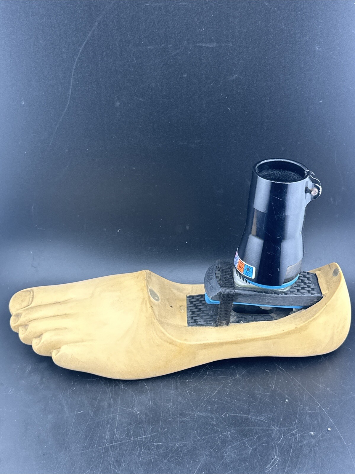 Endolite Blatchford Multiflex Multi Flex Size 28 DR-2 Prosthetic Foot.