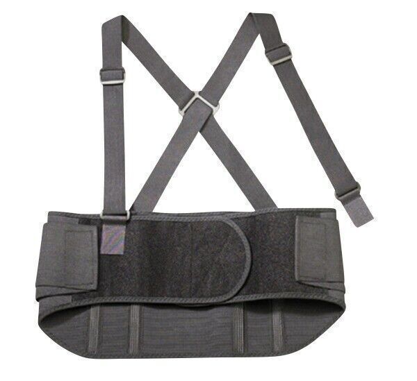 Ergodyne Proflex Standard 100 Back Support, Medium, 30″-34″ Waist, Black 1 Count