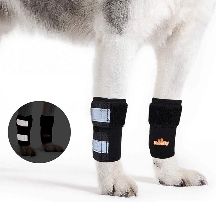 Neoally Front Leg Brace Dogs Cats S/M (1 Pair), Black Arthritis Sprain Injury