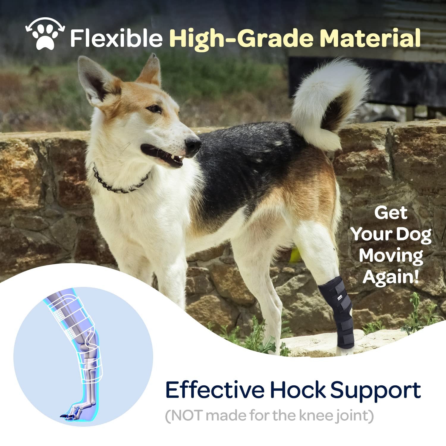 Dog Hock Joint Compression Support for Senior Dogs – Large Size & Adjustable Fit