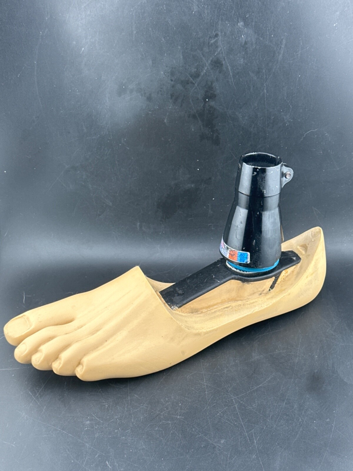 Blatchford endolite Multiflex mult flex prosthetic foot. Left. Size 28cm
