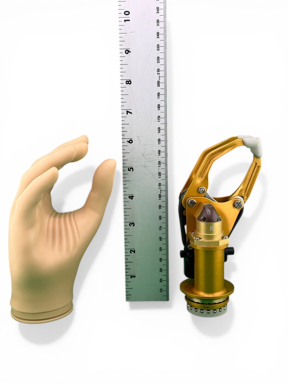 Otto Bock Myoelectric Prosthetic Hand, right. System Electric Hand Digital Twin