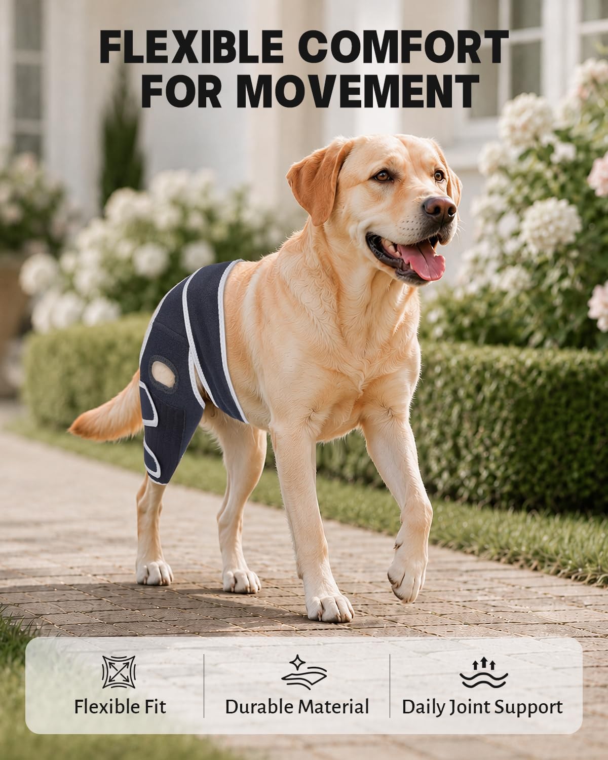 Moysoon Dog Knee Brace Left Hind Leg XS