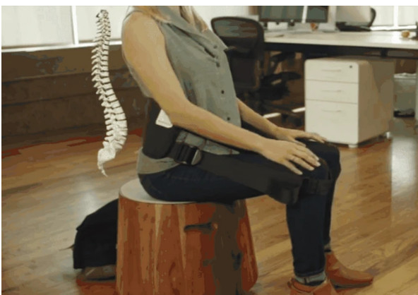 BetterBack Posture Support Belt Original 2015 NIP Shark Tank Lower Back to Knees