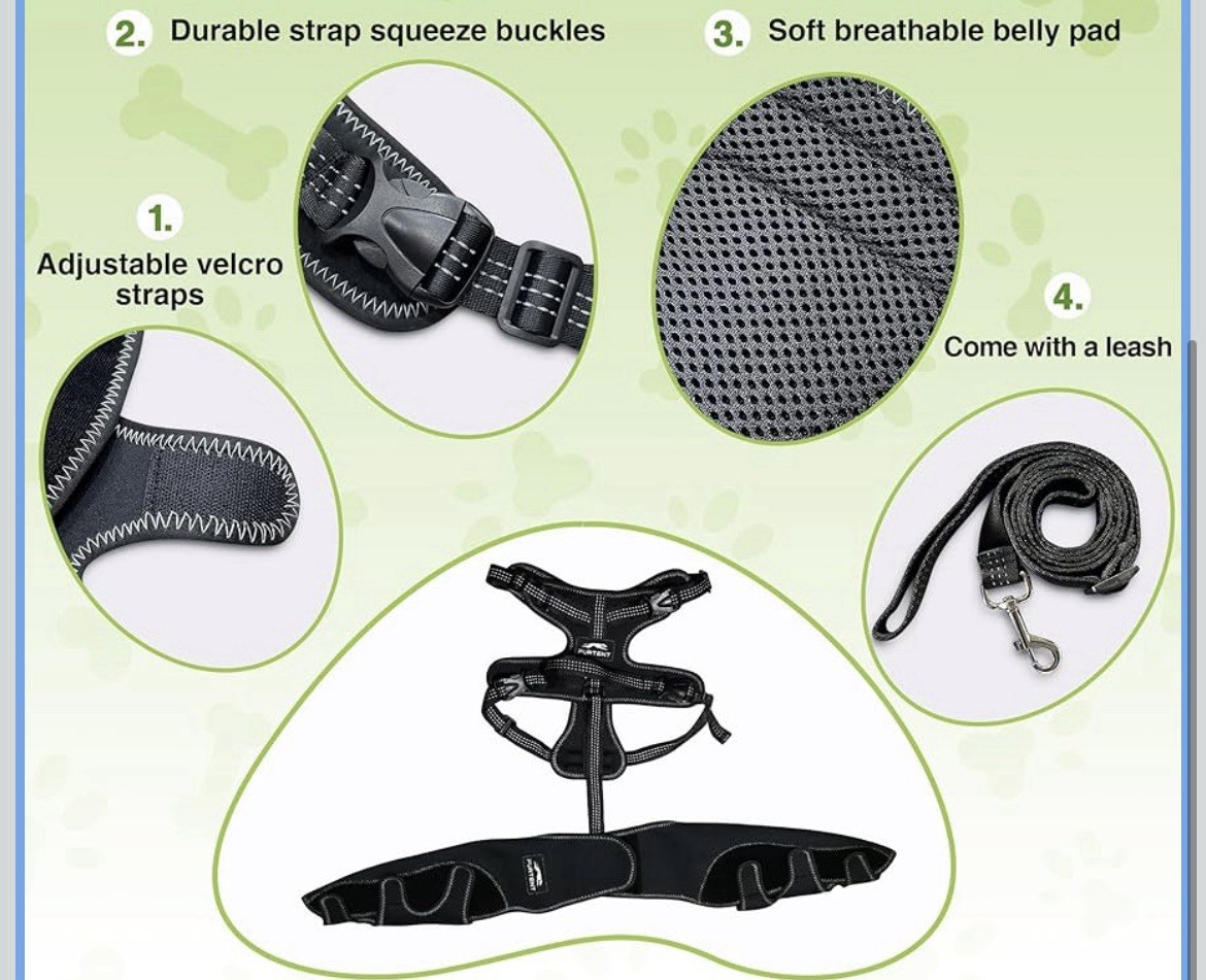 Dog Knee Brace Cruciate Ligament Injuries ACL Dog Rear Leg Wrap Medium Harness