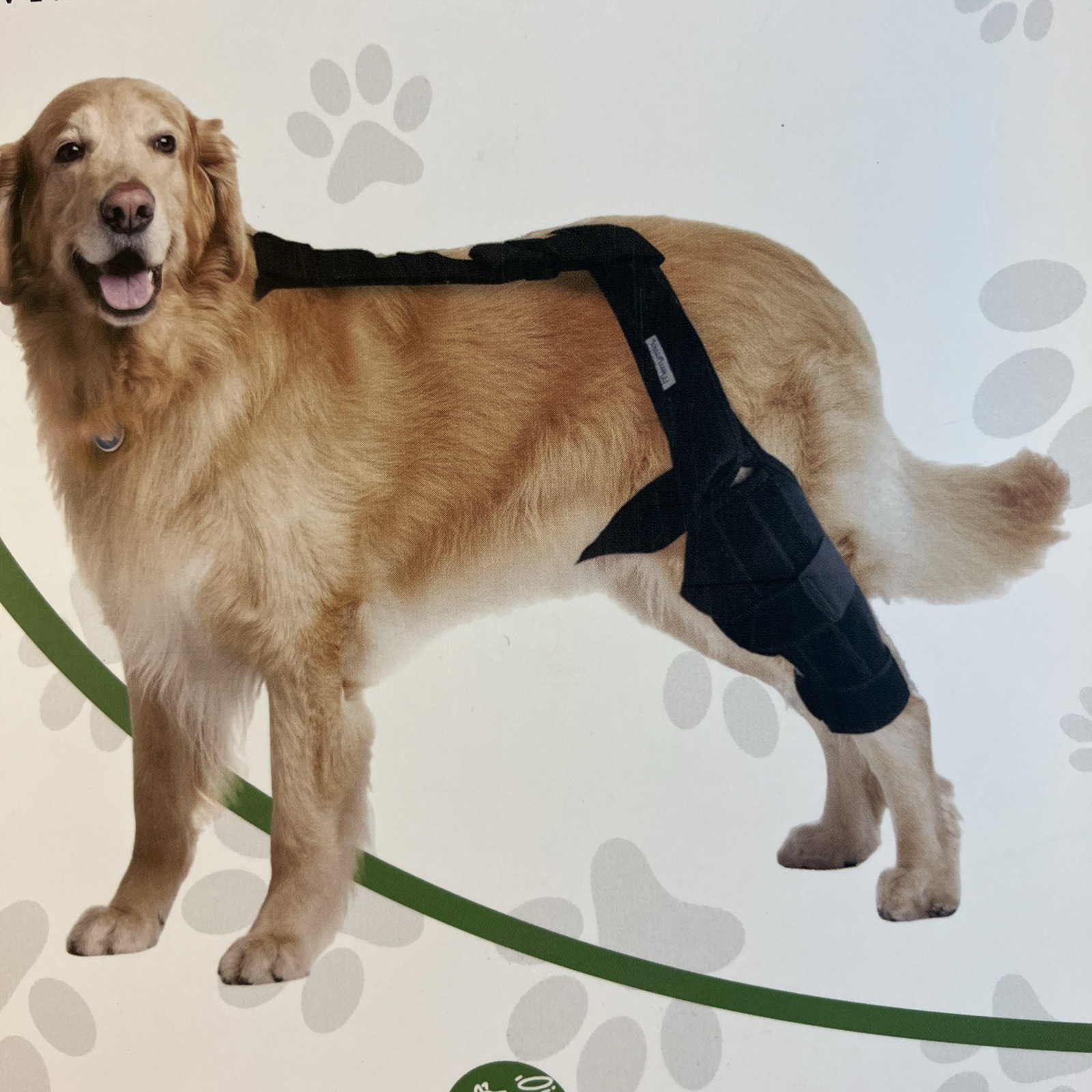 Dog Knee Brace for Torn ACL, Hip Dysplasia, Arthritis Pain Relief LG Jingy
