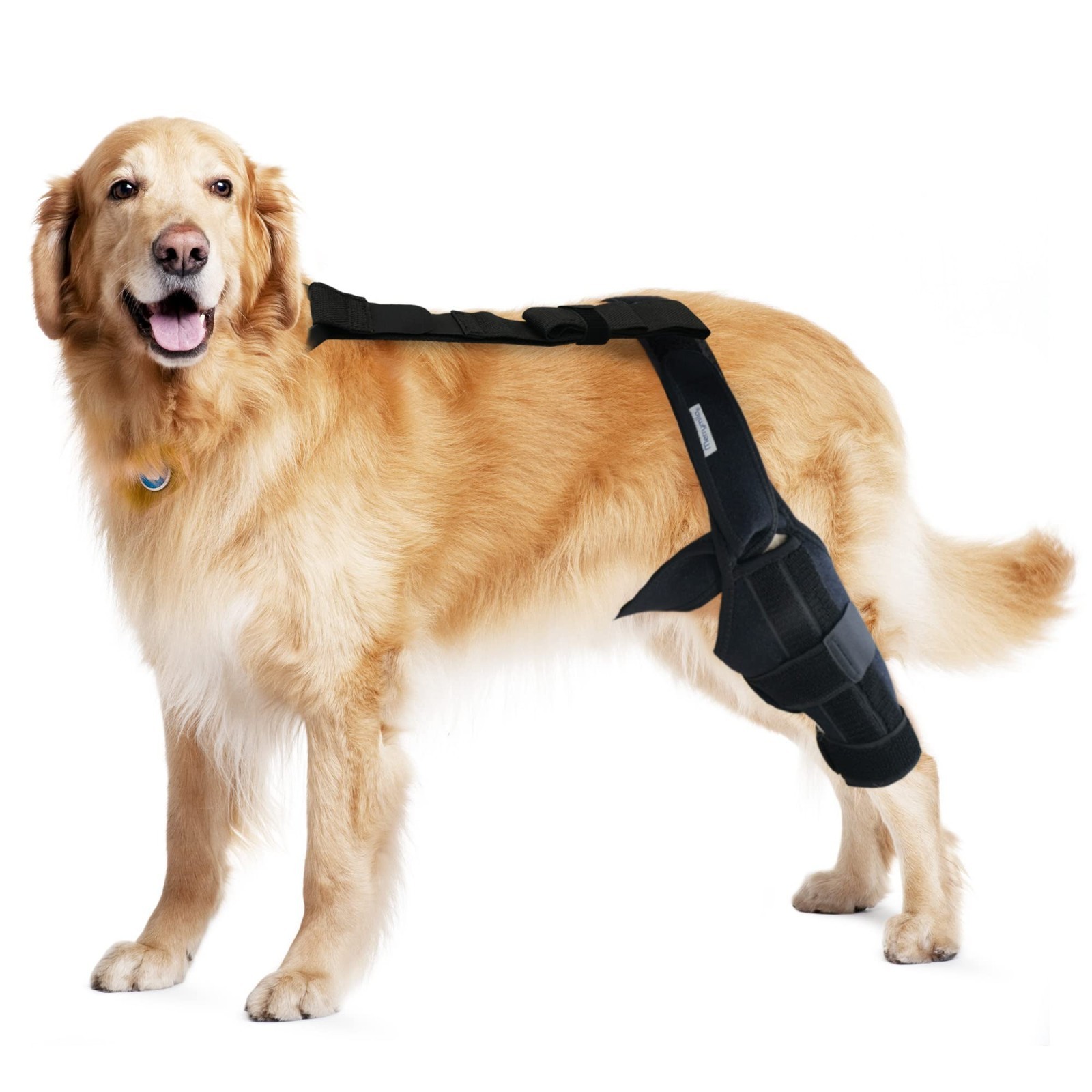 MerryMilo Dog Knee Brace Torn ACL Hind Leg, Support Arthritis Support, Adj Lar