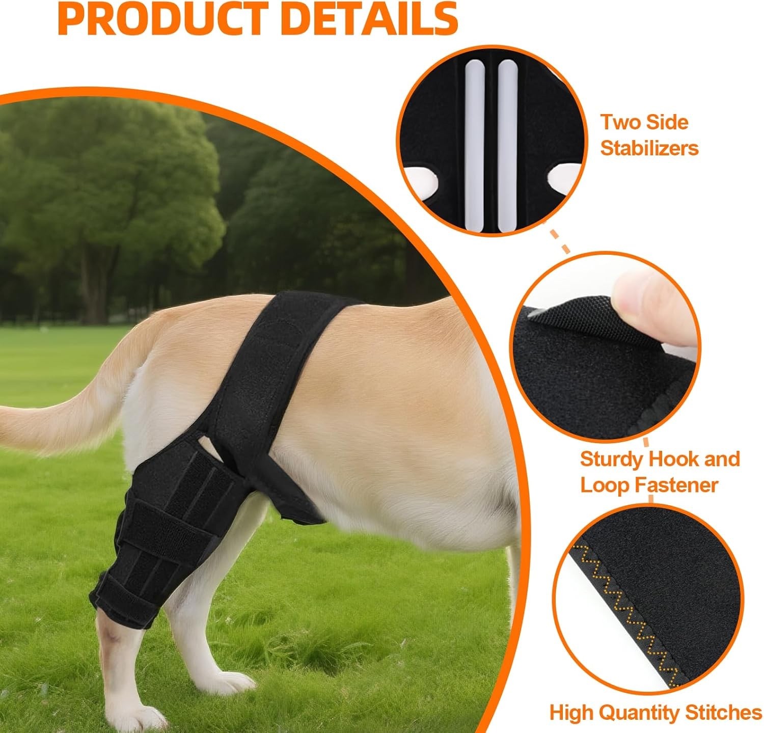 Dog Knee/Hip Brace Torn ACL with Side Stabilizers, Arthritis/Joint Support MED