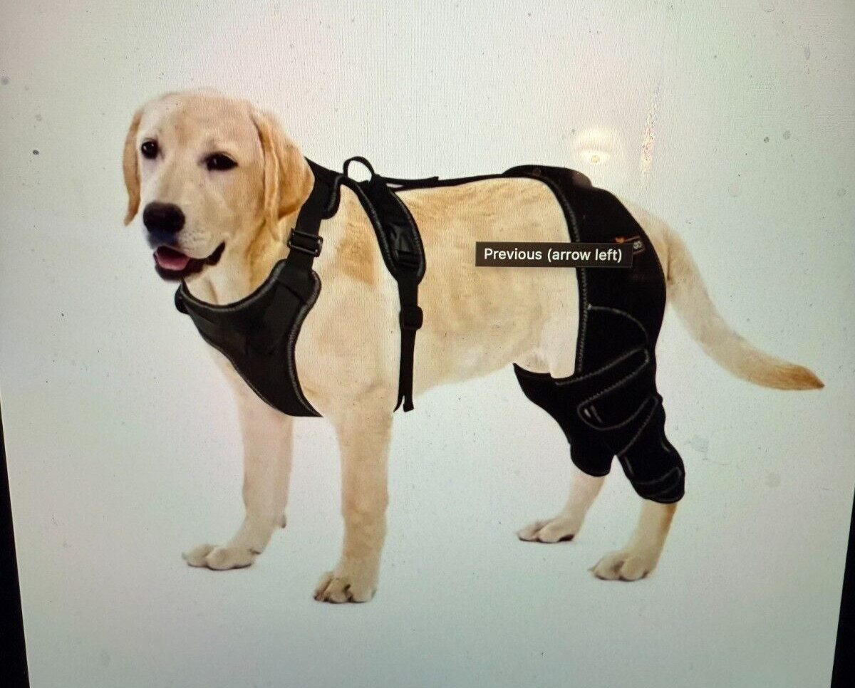 Lightweight Dog Knee Brace – No Support Bars for Mild Joint Support Large