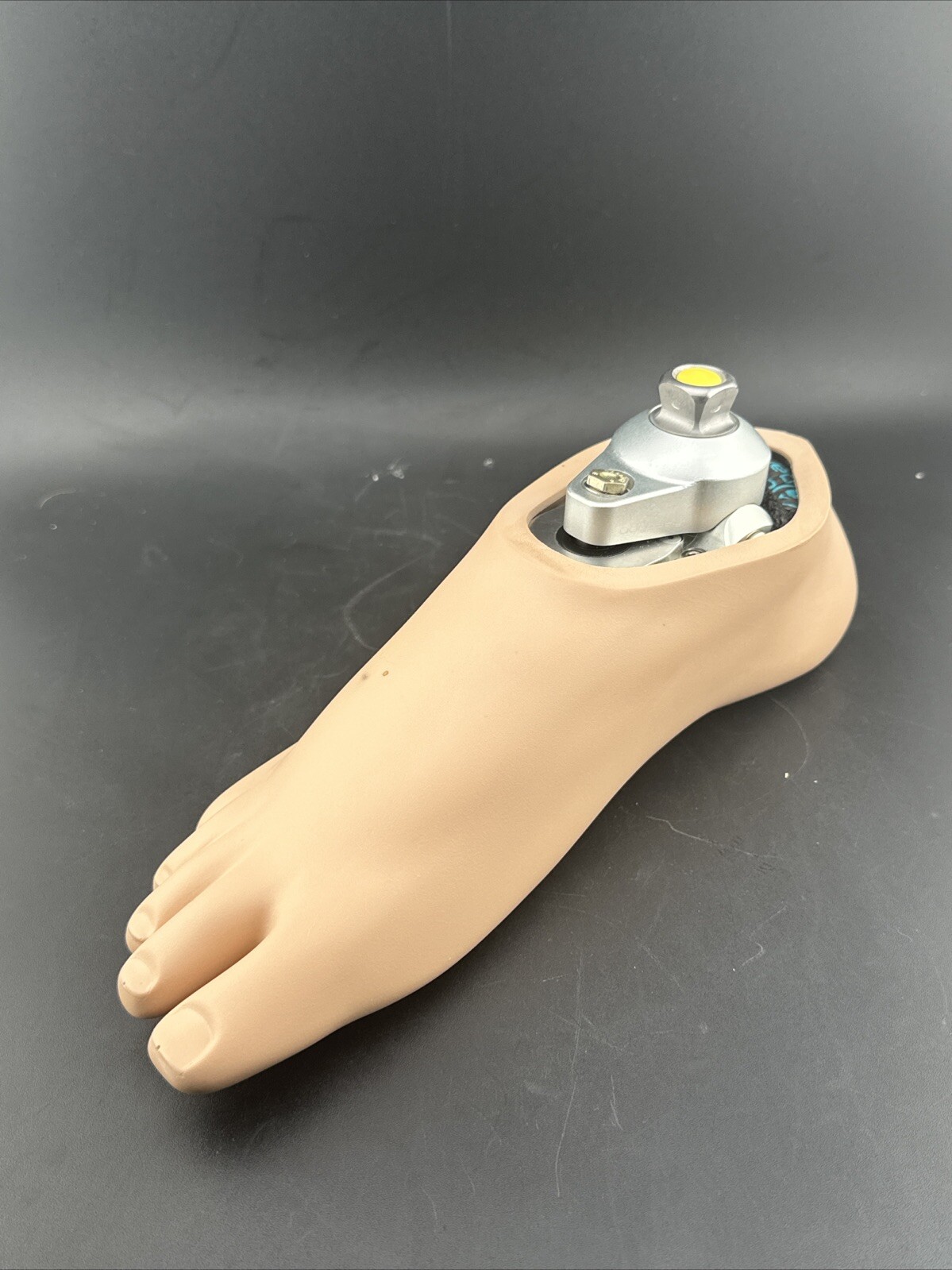 College Park K2 Odyssey Hydraulic Ankle Prosthetic Foot, Right Shell, Size 24
