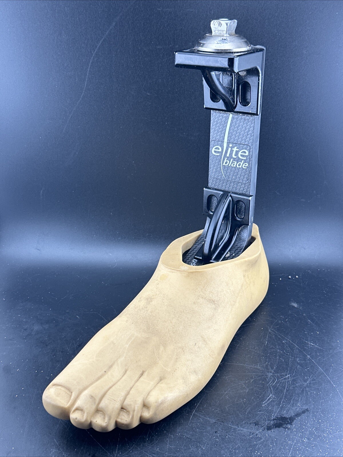 Blatchford Endolite Elite Blade Prosthetic Foot. Size 26