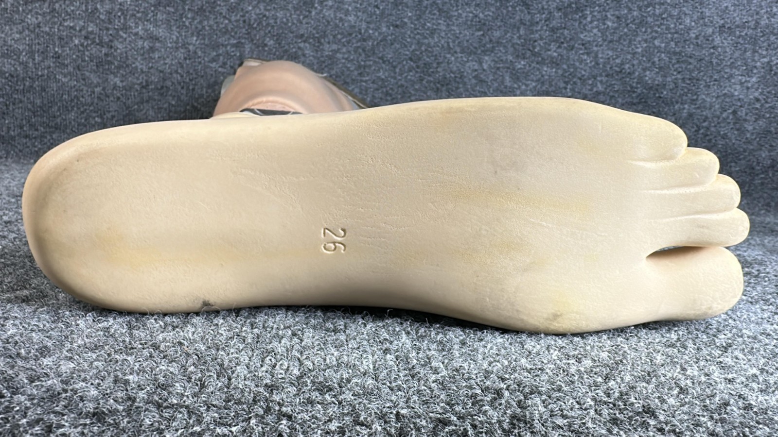 Ottobock Titan Right Below Knee Prosthetic Leg Size 28 Used