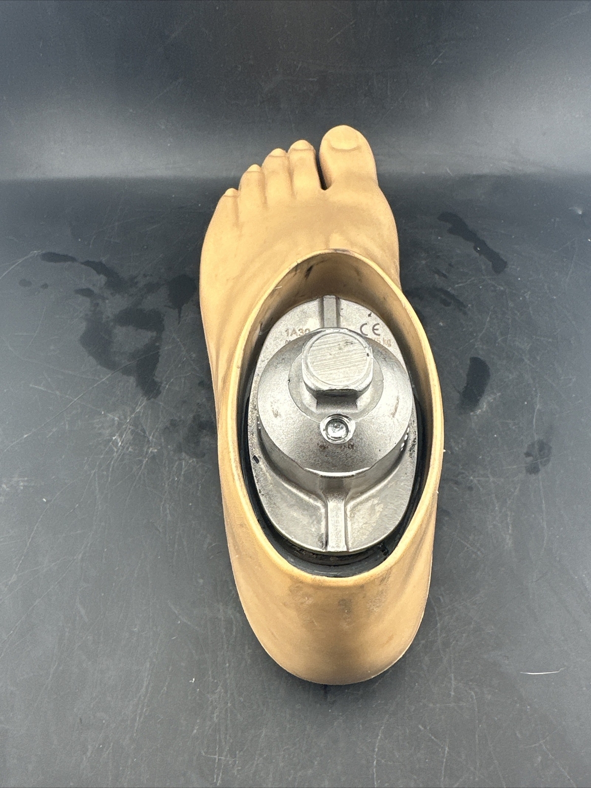 OTTOBOCK Otto Bock Greissinger Plus Prosthetic Foot. Left Size 25 1A30